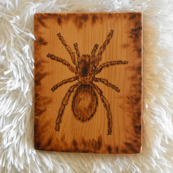 Αράχνη χειροποίητη πυρογραφία σε ξύλινο κάδρο - ξύλο, πίνακες & κάδρα - 2