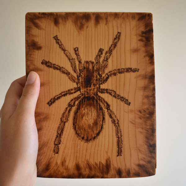 Αράχνη χειροποίητη πυρογραφία σε ξύλινο κάδρο - ξύλο, πίνακες & κάδρα - 3