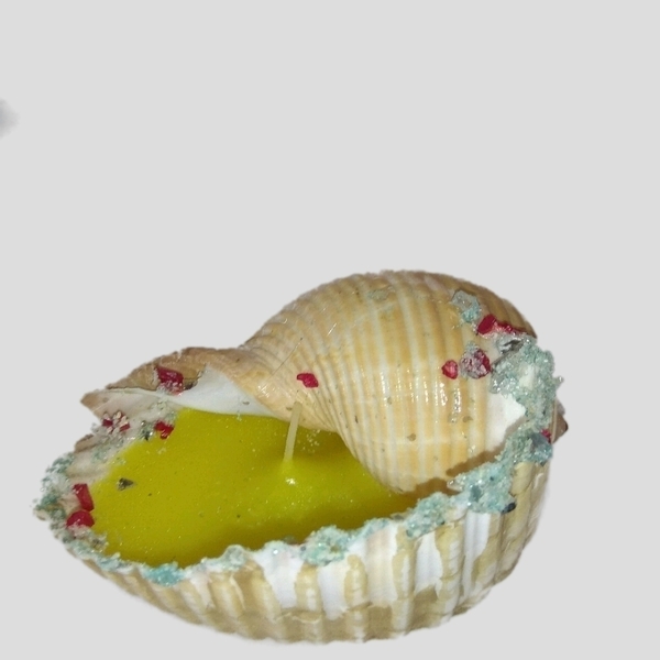 Handmade seashell candle with citronela - 2