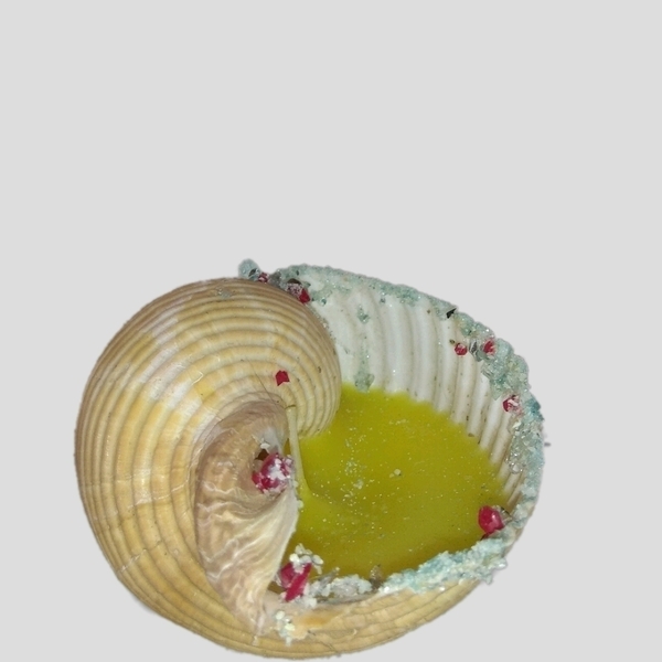 Handmade seashell candle with citronela - 3