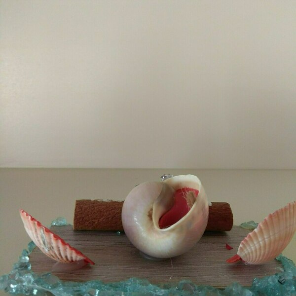Handmade seashell souvenir from Keramoti - 3