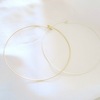 Tiny 20200906140747 27696d4b lepto choker chryso