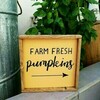 Tiny 20200906211948 29b3e957 farm fresh pumpkins