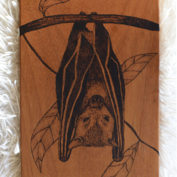 Νυχτερίδα χειροποίητη πυρογραφία σε ξύλινο κάδρο - ξύλο, πίνακες & κάδρα - 2