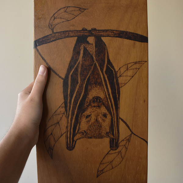 Νυχτερίδα χειροποίητη πυρογραφία σε ξύλινο κάδρο - ξύλο, πίνακες & κάδρα - 3