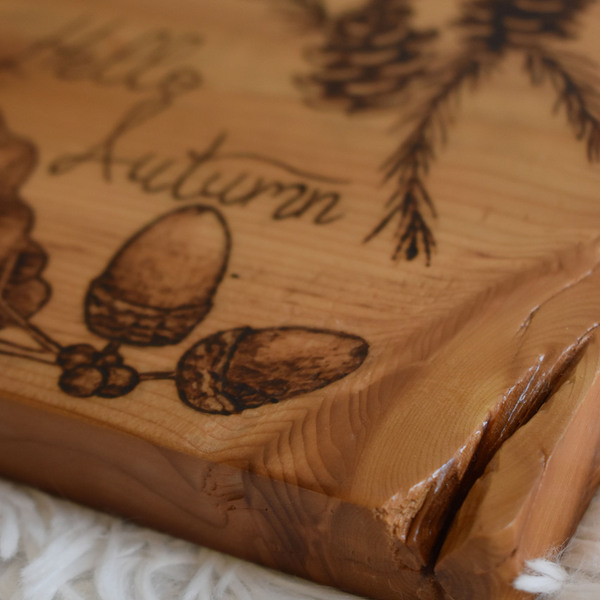 Φθινόπωρο χειροποίητη πυρογραφία σε ξύλινο κάδρο - ξύλο, πίνακες & κάδρα, φθινόπωρο - 3