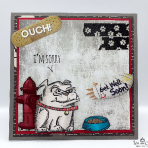 Χιουμοριστική κάρτα για περαστικά - Πιτ μπουλ - σκυλάκι, χιουμοριστικό, κάρτα ευχών, γενική χρήση - 5