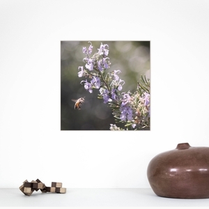 Κάδρο 40*40εκ.|Μέλισσα| Εκτύπωση σε καμβά τελαρωμένο - πίνακες & κάδρα, φλοράλ, καλλιτεχνική φωτογραφία - 3