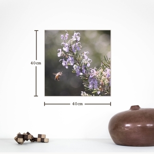 Κάδρο 40*40εκ.|Μέλισσα| Εκτύπωση σε καμβά τελαρωμένο - πίνακες & κάδρα, φλοράλ, καλλιτεχνική φωτογραφία - 4