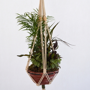 THEKLA macrame plant hanging - μακραμέ, boho, κρεμάστρες