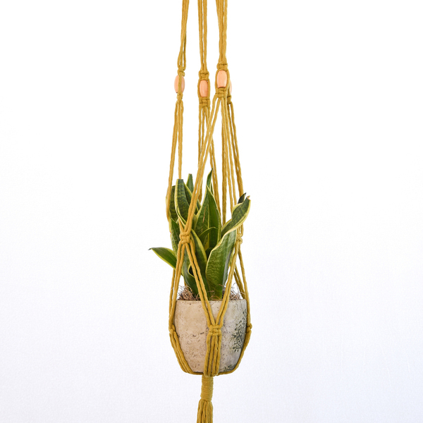 ALTHAIA macrame plant hanging - μακραμέ, boho, κρεμάστρες