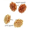 Tiny 20201204163929 7b5a732a skoularikia karfota chrysanthemo