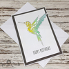 Tiny 20201216095435 f9269949 eychetiria karta hummingbird