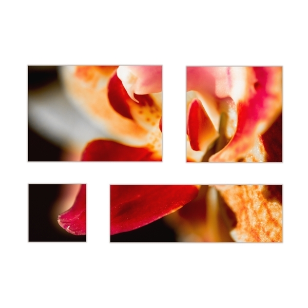 Κάδρο τετράπτυχο σε καμβά τελαρωμένο σε ξύλο 2x2 εκ.| Συνολικές Διαστάσεις κάδρου 100*65 εκ. | "Μίνα" | Χρώμα πορτοκαλί, ροζ, καφέ - πίνακες & κάδρα, καλλιτεχνική φωτογραφία