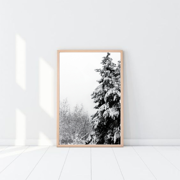 Φωτογραφία Χειμώνας διαστάσεις 20Χ30cm matt φινίρισμα - πίνακες & κάδρα, καλλιτεχνική φωτογραφία
