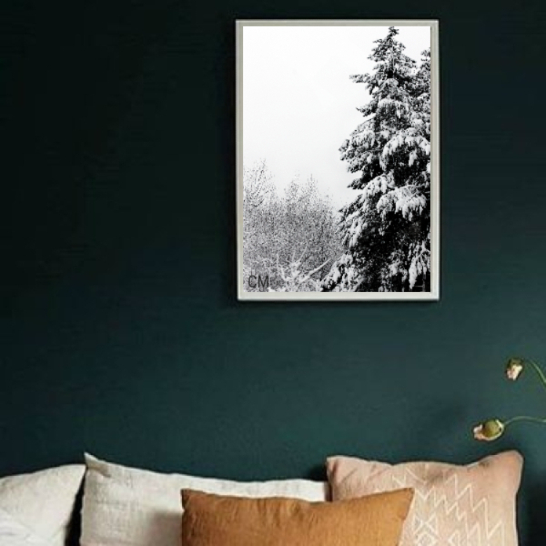 Φωτογραφία Χειμώνας διαστάσεις 20Χ30cm matt φινίρισμα - πίνακες & κάδρα, καλλιτεχνική φωτογραφία - 2