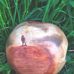 Μπολ από Αλμυρίκι [Natural edge], στον Ξυλότορνο. [23Χ9εκ.] - ξύλο, βάζα & μπολ, σπίτι, χειροποίητα, ξύλινα διακοσμητικά - 4