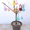 Tiny 20210310145338 18444414 plekto set bird