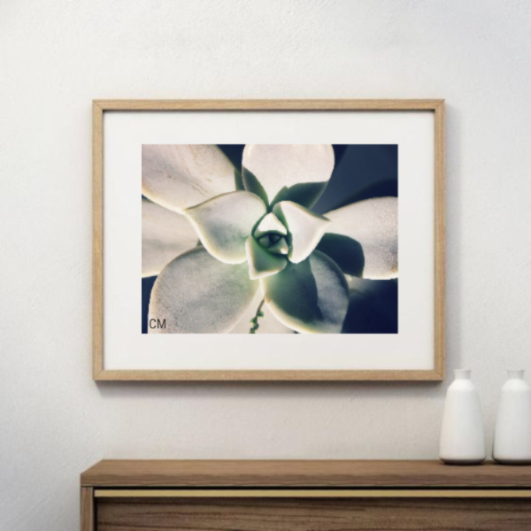 Printable Wall Art Flower - αφίσες - 3