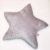 Tiny 20210315145027 a7bf8dc8 decorating star pillow