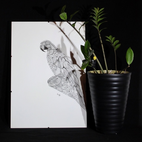 Handrawn ink art.Parrot - πίνακες & κάδρα, πίνακες ζωγραφικής - 2