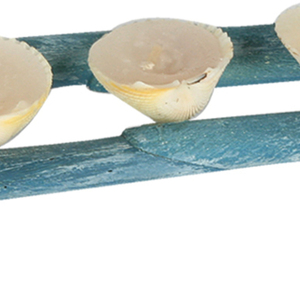 Κεράκια σε όστρακα Blue Cockles πάνω σε ξύλινη βάση από Driftwood - κοχύλι, ρεσώ & κηροπήγια, κεριά