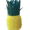 Tiny 20210512093734 40d6675a cheiropoiiti piniata ananas