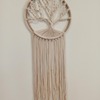 Tiny 20210514120825 3c2383db macrame toichou dentro