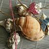 Tiny 20210531153545 6a0e2b17 vrachioli me psaraki