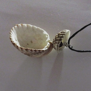 "Aphrodite" necklace - κοχύλι, μακριά, boho - 4