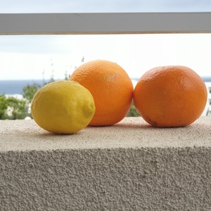 Εσπεριδοειδή του κήπου: λεμόνι, πορτοκάλι και μανταρίνι - πίνακες & κάδρα, δώρο, πίνακες ζωγραφικής - 2