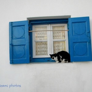 Φωτογραφία για διακοσμηση τοίχου γραφειου γατα παραθυρο - πίνακες & κάδρα