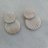 Tiny 20210712125830 07a906c9 seashells skoularikia kochylia