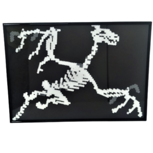 dragon skeleton pixel art - πίνακες & κάδρα