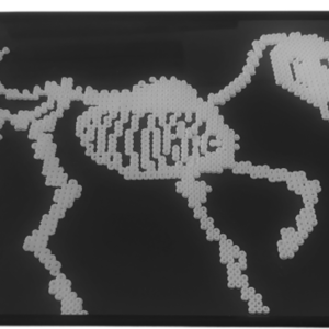 Unicorn skeleton pixel art - πίνακες & κάδρα - 3