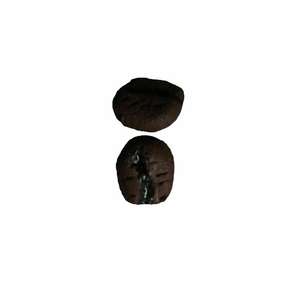 Σκουλαρίκια κόκοι καφέ - πηλός, καρφωτά, μικρά, φθηνά