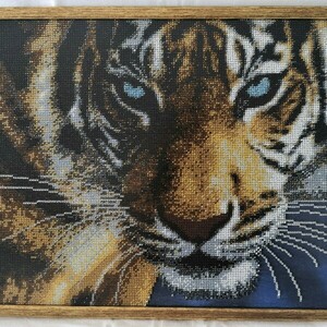 Tigress - πίνακες & κάδρα