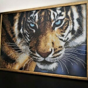 Tigress - πίνακες & κάδρα - 3