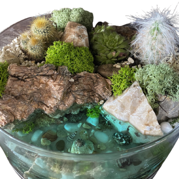 Terrarium με υγρο γυαλί και κάκτους - ξύλο, γυαλί, πέτρα, διακοσμητικά, γύψος