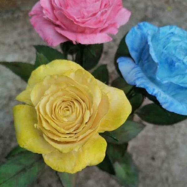 Τριαντάφυλλα από κρύα πορσελανη - πηλός, διακοσμητικά - 2