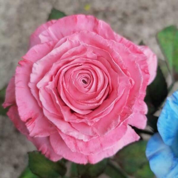 Τριαντάφυλλα από κρύα πορσελανη - πηλός, διακοσμητικά - 3
