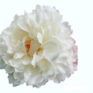Λουλούδι για κολάρο κατοικίδιων - 2