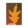 Tiny 20211013183236 29665836 artprint fthinoporini eychetiria