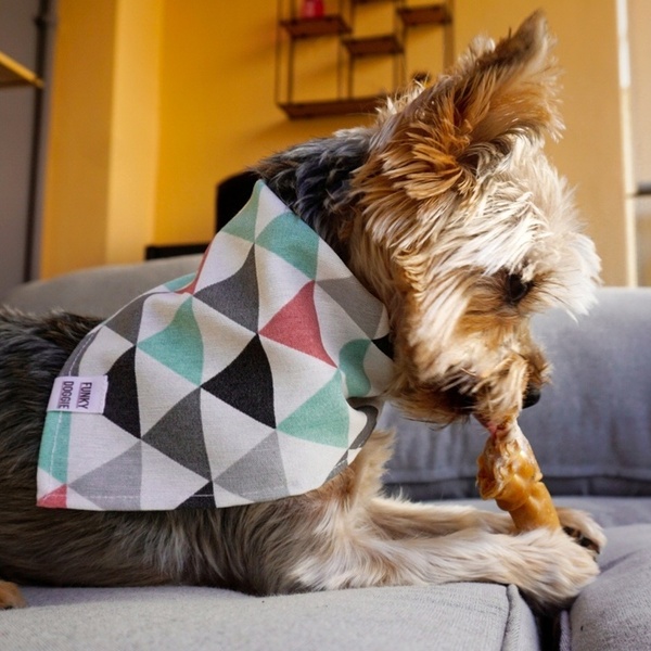 Μπαντάνα σκύλου βαμβακερή καρώ σε τρία μεγέθη (Small,Medium,Large) - βαμβάκι, μπαντάνες - 3