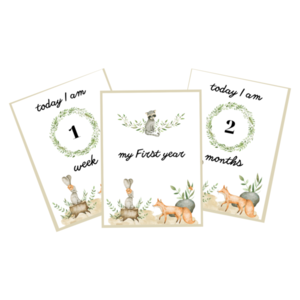 Αναμνηστικές Κάρτες Πρώτου Χρόνου για Μωρά με θέμα τα Ζωάκια του Δάσους 11x15εκ milestone - κορίτσι, αγόρι, αναμνηστικά, δώρα για μωρά, κάρτες