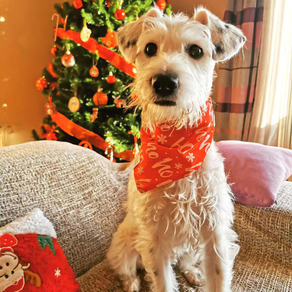 Μπαντάνα σκύλου χριστουγεννιάτικη, Limpertad, σε τρία μεγέθη (Extra small,Small,Medium,Large) - σκυλάκι, χριστουγεννιάτικο, μπαντάνες - 2