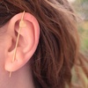 Tiny 20211104153408 d638b990 epichrysomeno ear climber