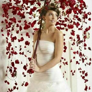 Ομπρέλα διακοσμητικη με ροδοπέταλα και τριαντάφυλλα. - 2