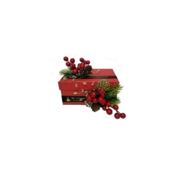 Χριστουγεννιάτικο κοκκινο κουτι.Διαστασεις 17*13*9cm - διακοσμητικά