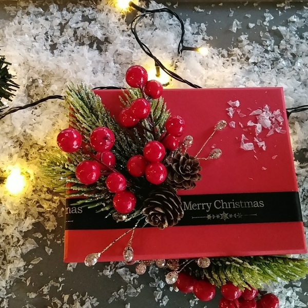 Χριστουγεννιάτικο κοκκινο κουτι.Διαστασεις 17*13*9cm - διακοσμητικά - 4